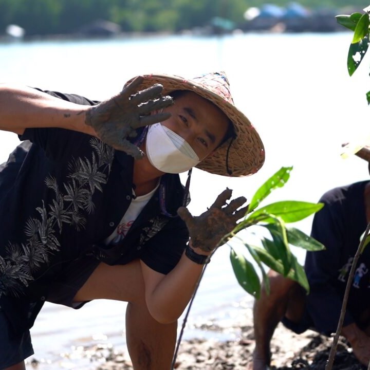 Mangrove Forest Ban Sam Chong Nuea