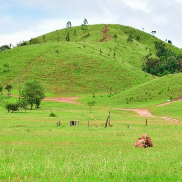 Phu Khao Ya, Ranong Province