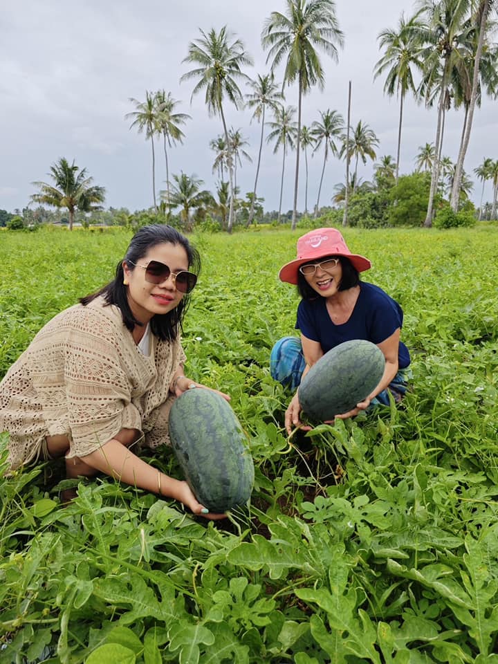 Discover the Charm of Koh Sukorn, Trang