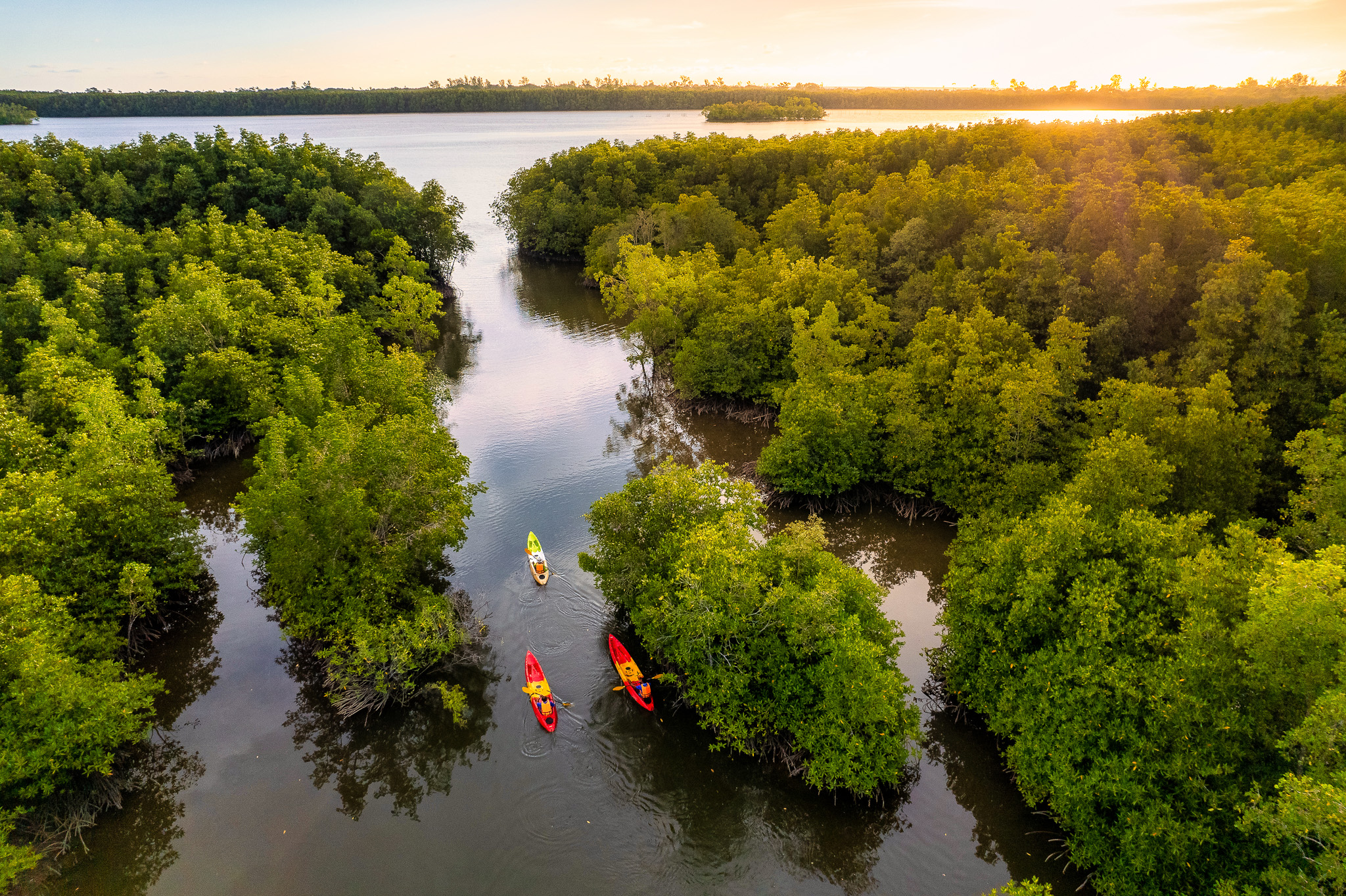 "Ban Tha Din Daeng" a peaceful mangrove-side village where nature is lush