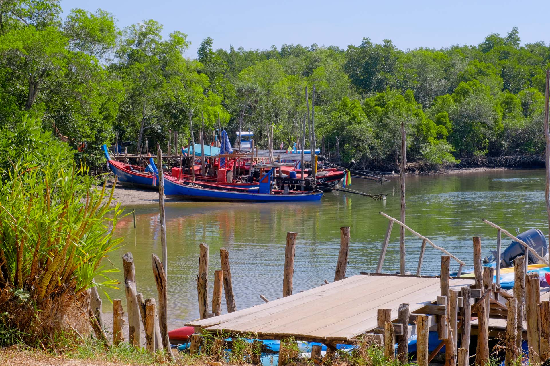 "Ban Tha Din Daeng" a peaceful mangrove-side village where nature is lush