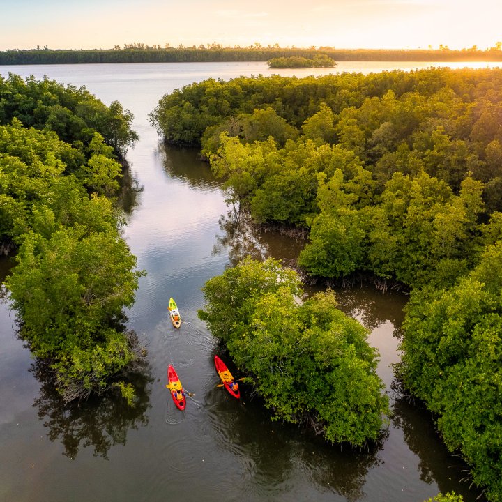"Ban Tha Din Daeng" a peaceful mangrove-side village where nature is lush