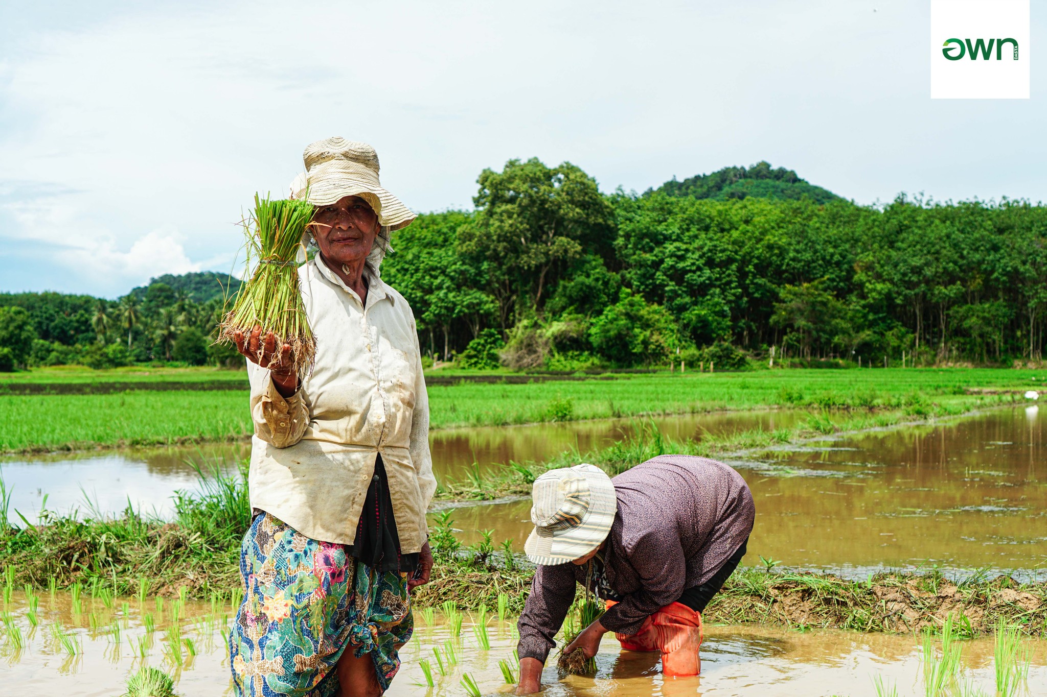 Coconut Gardens & Hornbill Missions