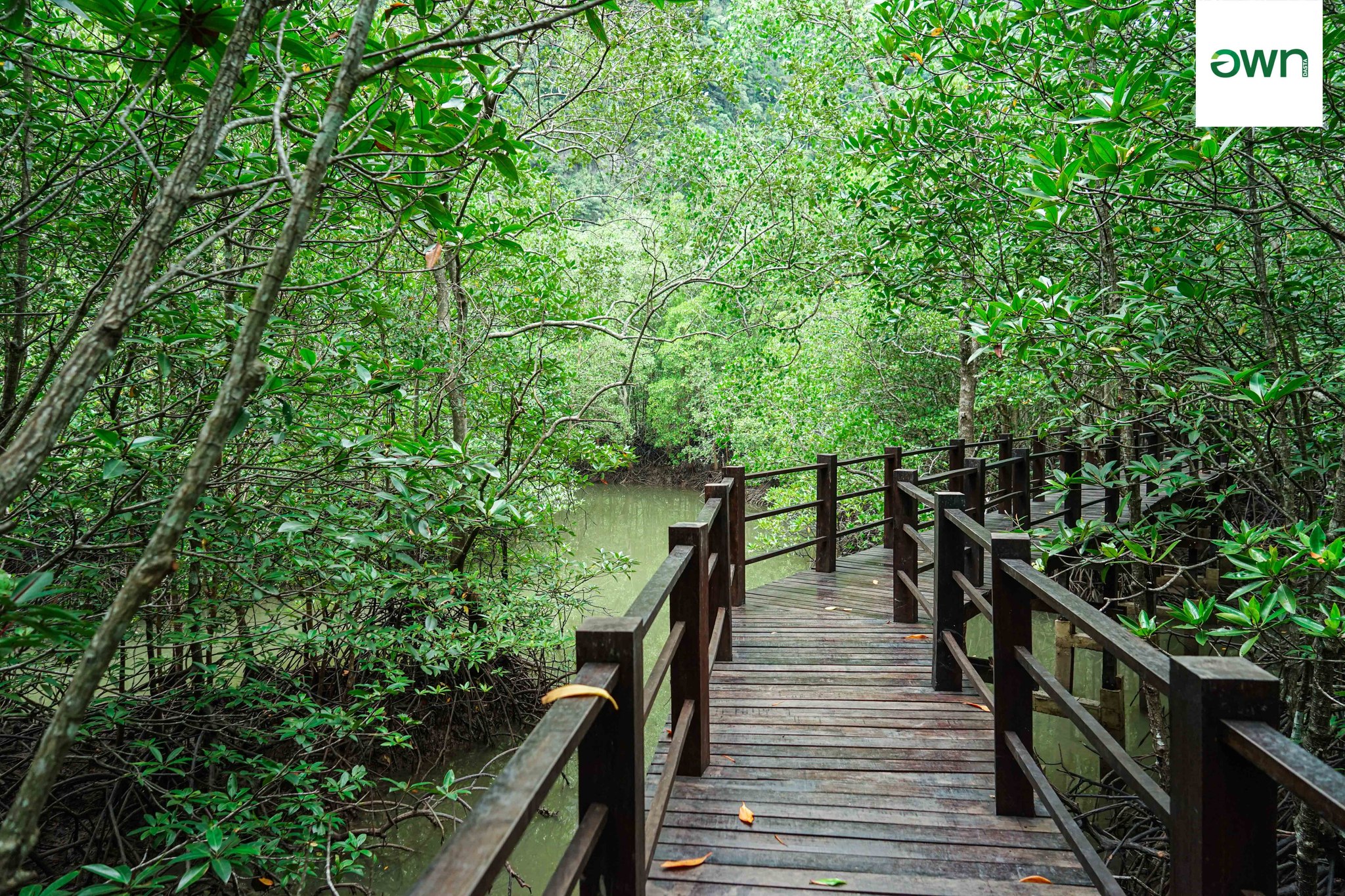 Travel Laem Sak the Low Carbon Way