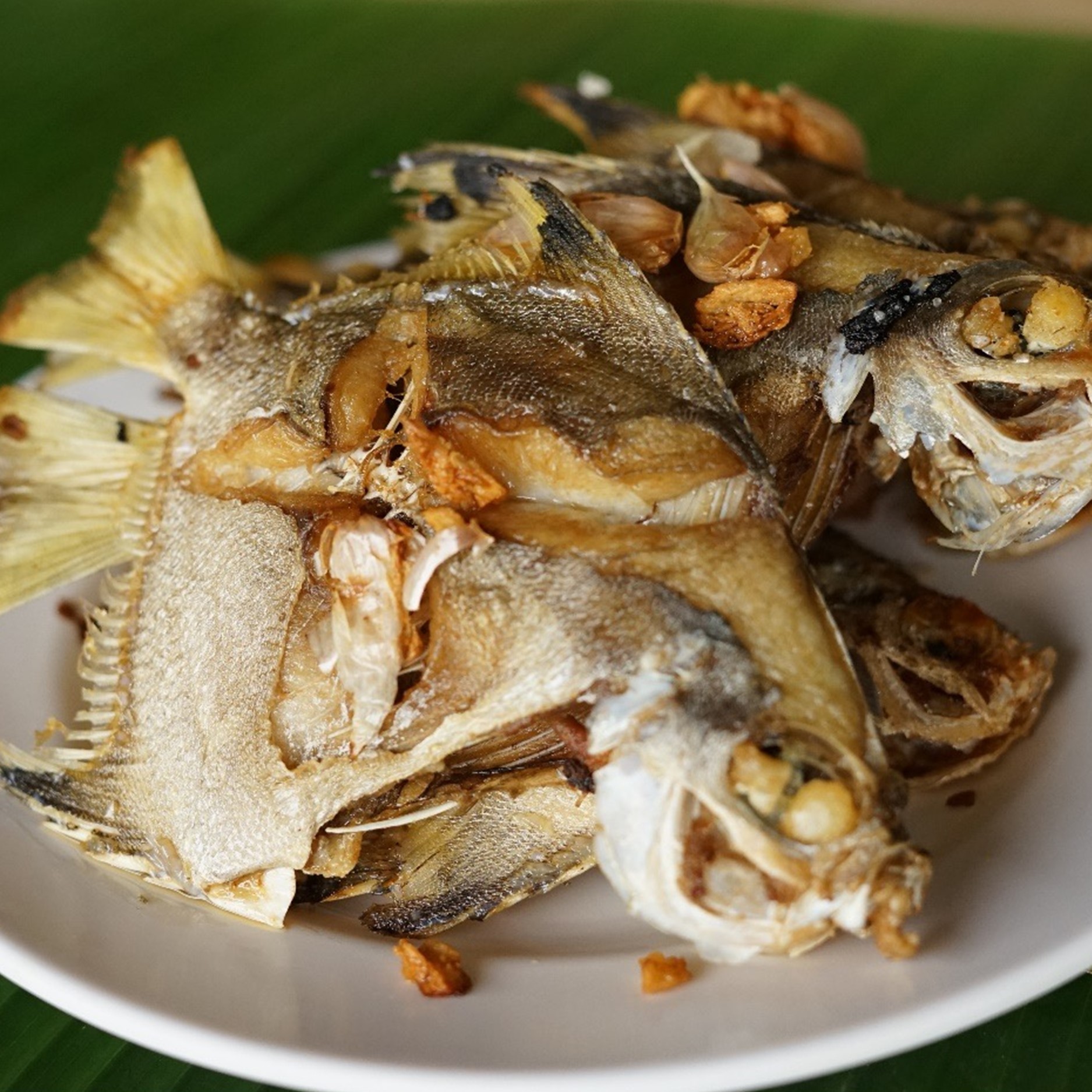 Ban Tha Din Daeng