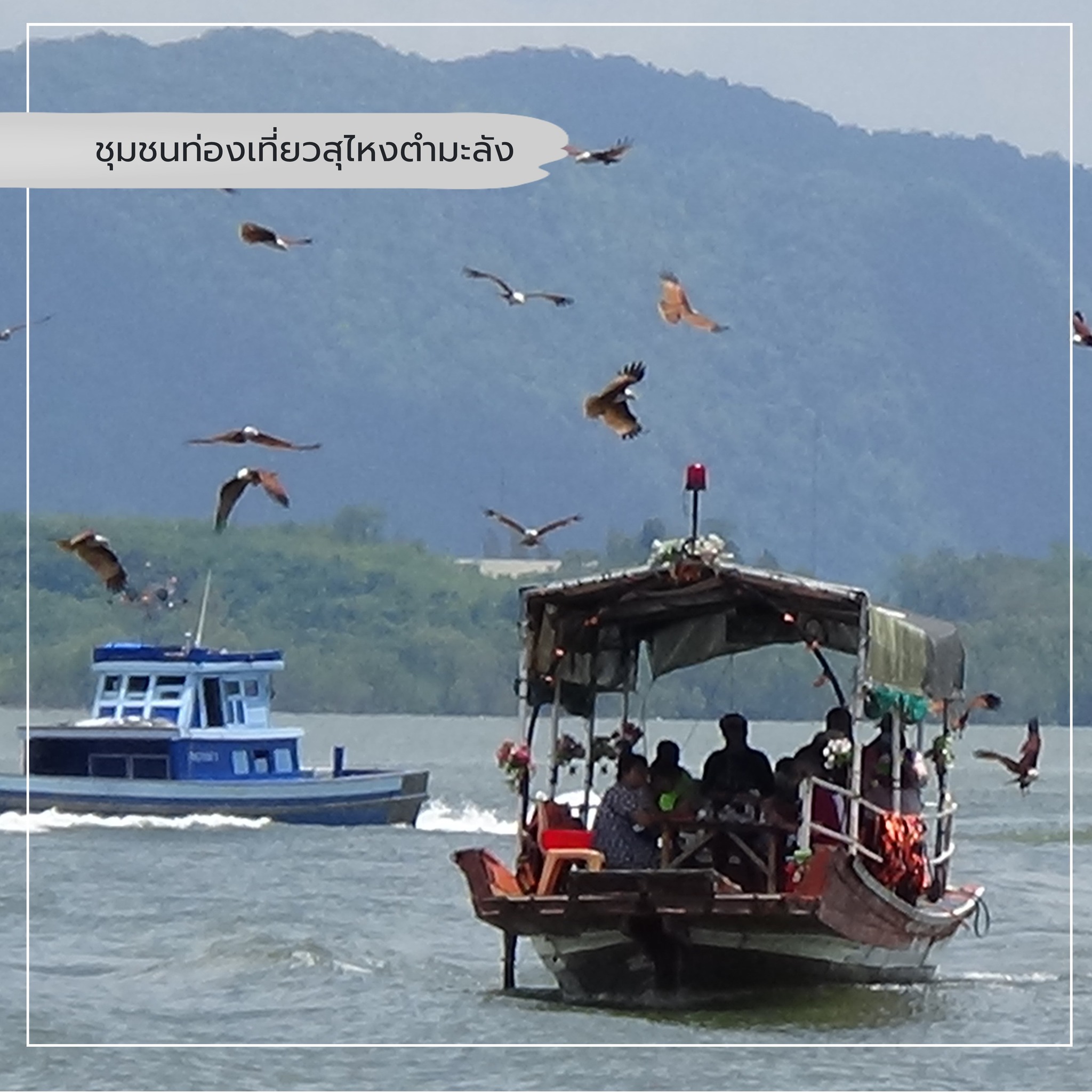 Sungai Tammalang Tourism Community: Take a cruise to see the eagles and eat seafood.