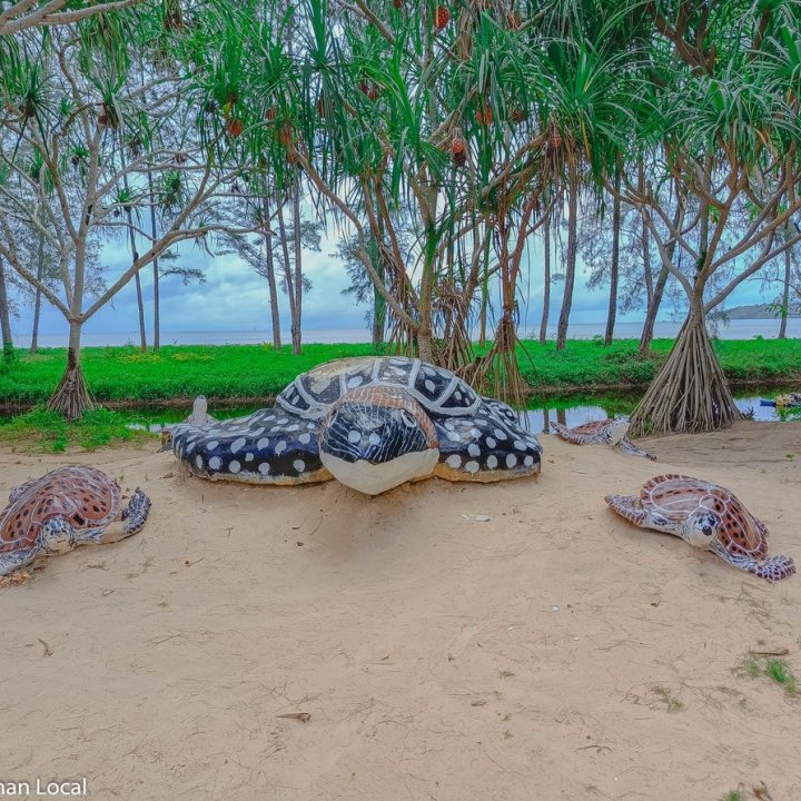 Sea Turtle Conservation Center Phang Nga Naval Base