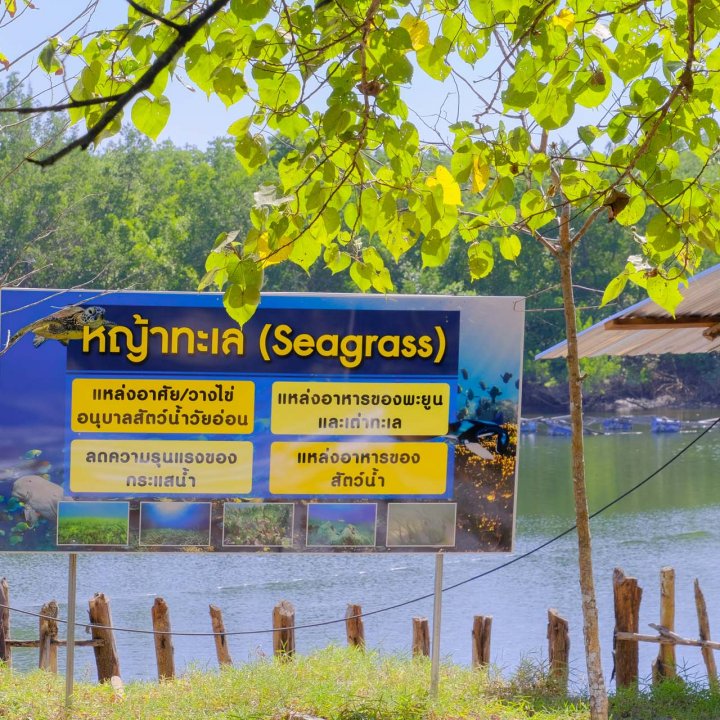 Baan Tha Din Dang Community Based Tourism Activities