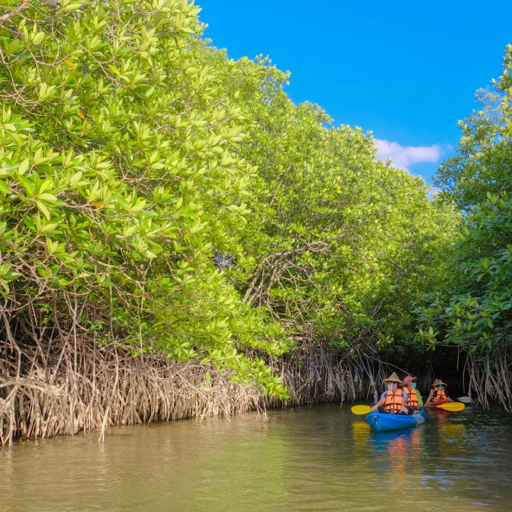 Baan Tha Din Dang Community Based Tourism Activities - Kayaking 